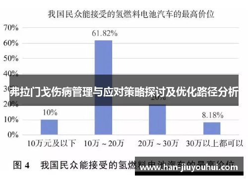 弗拉门戈伤病管理与应对策略探讨及优化路径分析