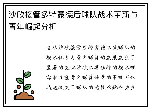 沙欣接管多特蒙德后球队战术革新与青年崛起分析 沙欣接管多特蒙德后球队战术革新与青年崛起分析